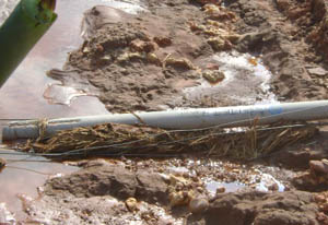 Stake(中国区)官方网站