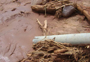 Stake(中国区)官方网站