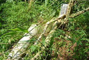 Stake(中国区)官方网站