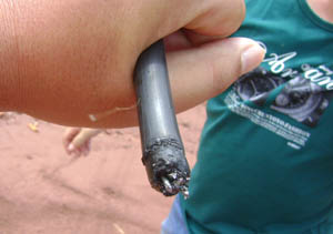 Stake(中国区)官方网站