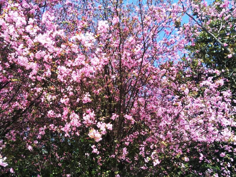 Stake(中国区)官方网站