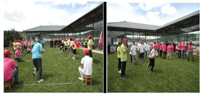 Stake(中国区)官方网站