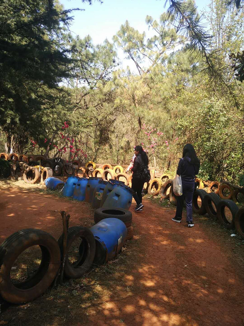 Stake(中国区)官方网站