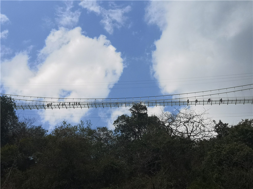 Stake(中国区)官方网站