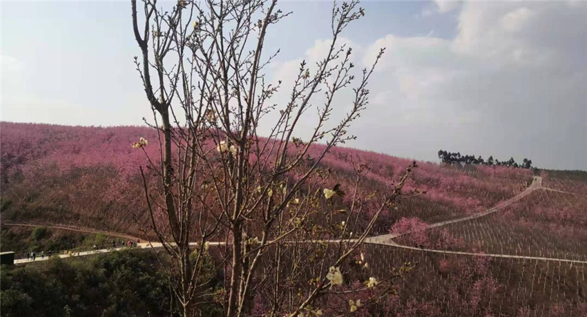 Stake(中国区)官方网站