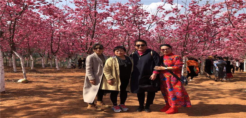 Stake(中国区)官方网站